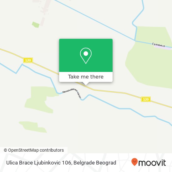 Ulica Brace Ljubinkovic 106 mapa