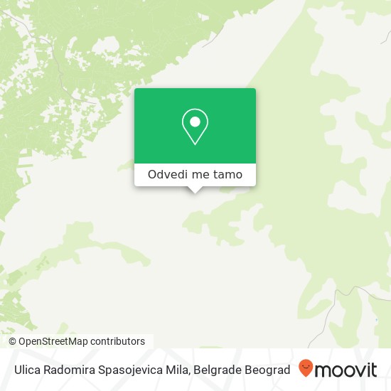 Ulica Radomira Spasojevica Mila mapa