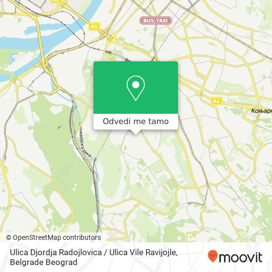 Ulica Djordja Radojlovica / Ulica Vile Ravijojle mapa