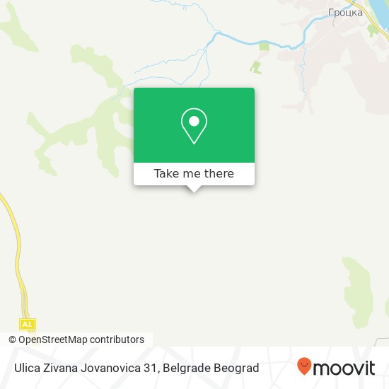 Ulica Zivana Jovanovica 31 mapa