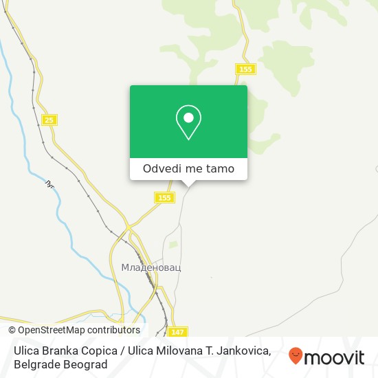 Ulica Branka Copica / Ulica Milovana T. Jankovica mapa