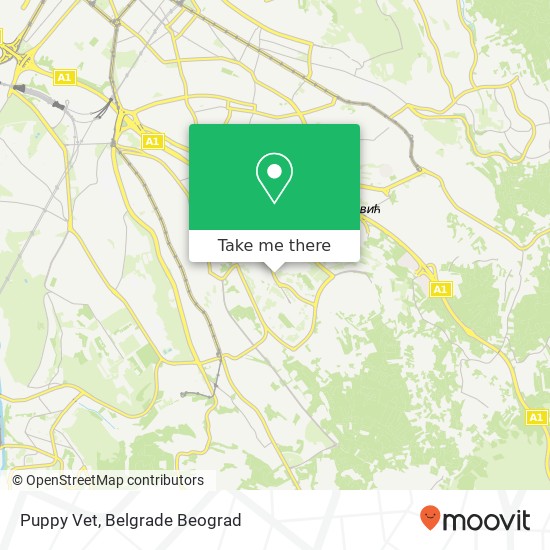 Puppy Vet mapa