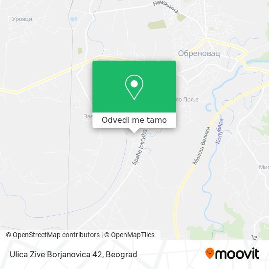 Ulica Zive Borjanovica 42 mapa