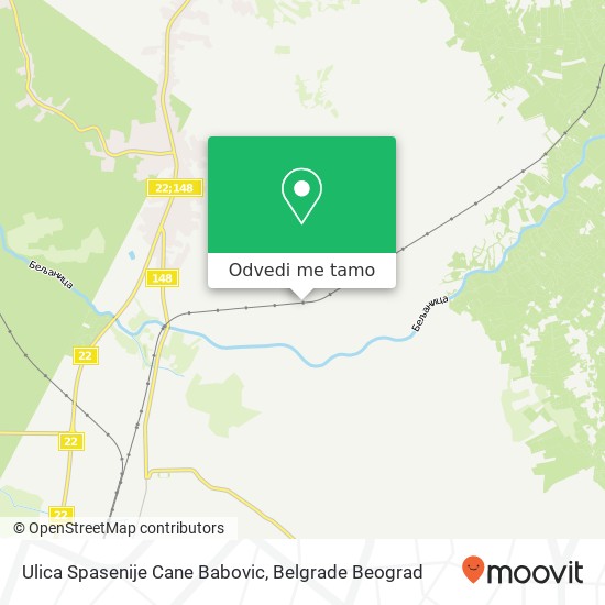 Ulica Spasenije Cane Babovic mapa