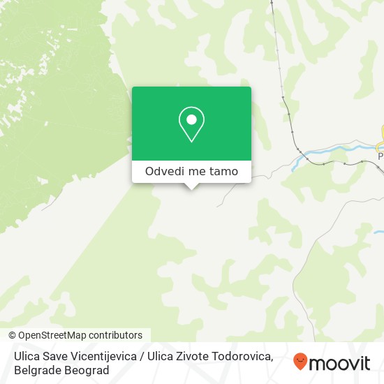 Ulica Save Vicentijevica / Ulica Zivote Todorovica mapa