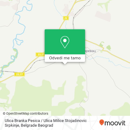 Ulica Branka Pesica / Ulica Milice Stojadinovic Srpkinje mapa