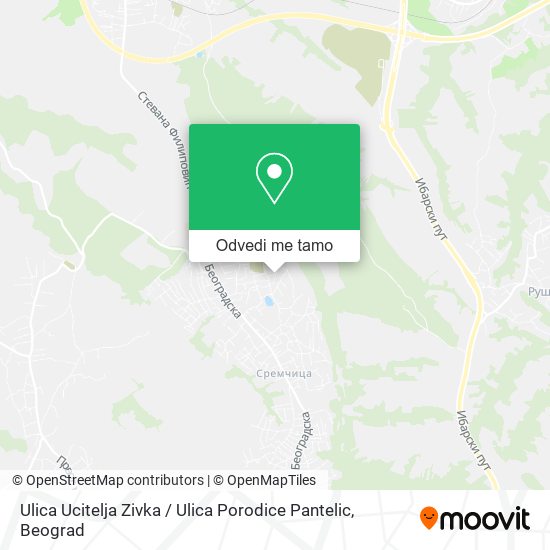 Ulica Ucitelja Zivka / Ulica Porodice Pantelic mapa