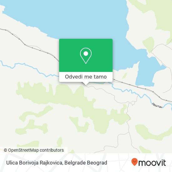 Ulica Borivoja Rajkovica mapa