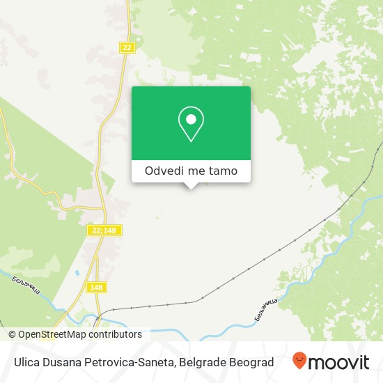 Ulica Dusana Petrovica-Saneta mapa