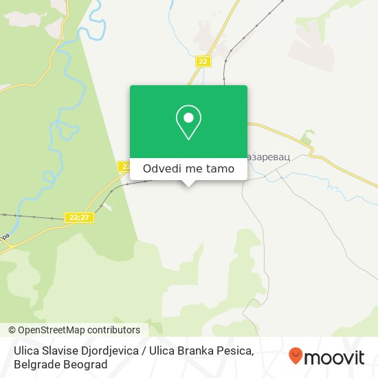 Ulica Slavise Djordjevica / Ulica Branka Pesica mapa