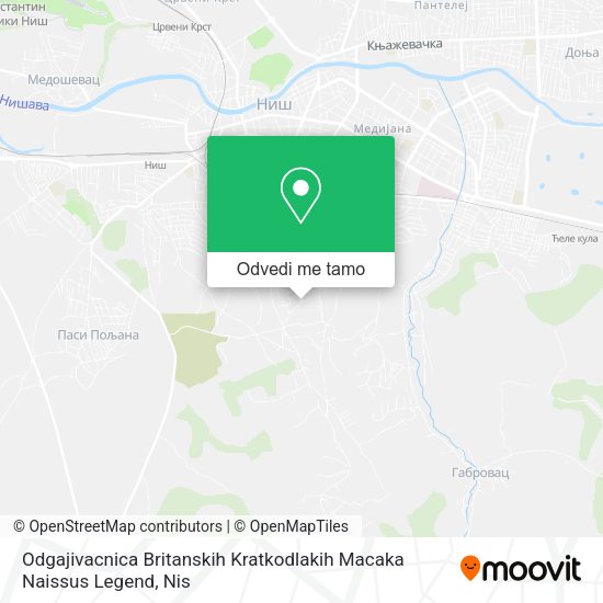 Odgajivacnica Britanskih Kratkodlakih Macaka Naissus Legend mapa