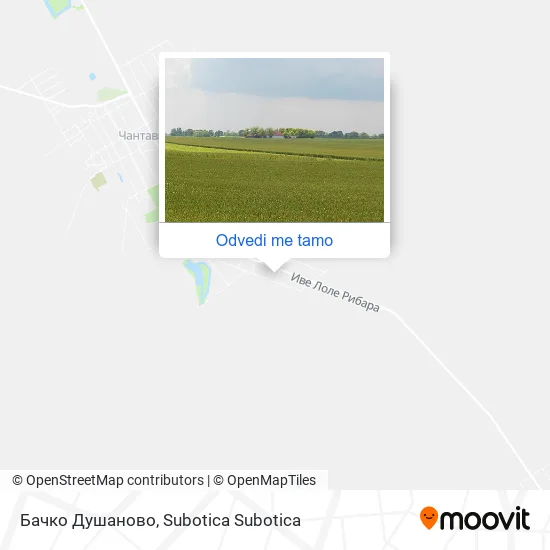 Бачко Душаново mapa