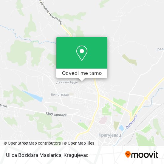 Ulica Bozidara Maslarica mapa
