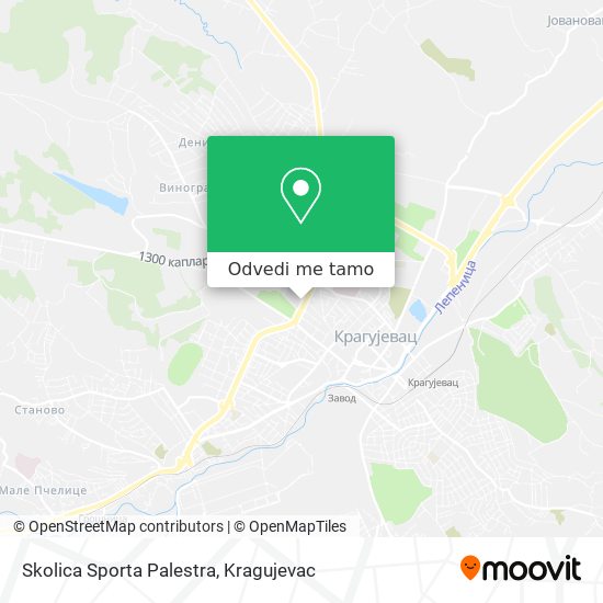 Skolica Sporta Palestra mapa