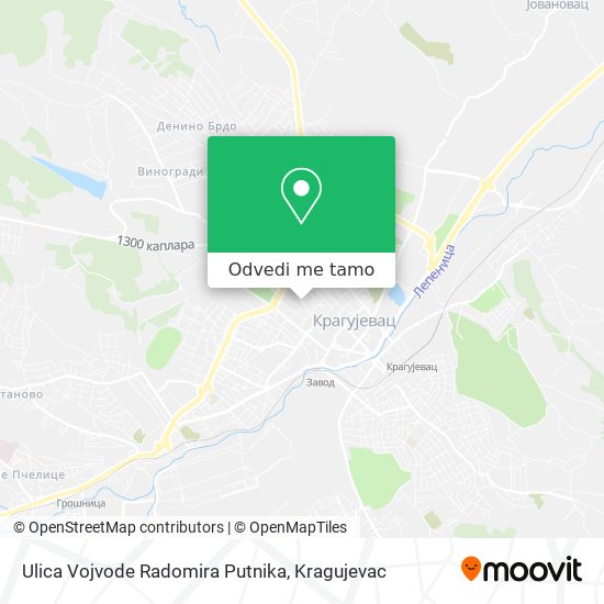 Ulica Vojvode Radomira Putnika mapa
