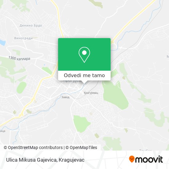 Ulica Mikusa Gajevica mapa