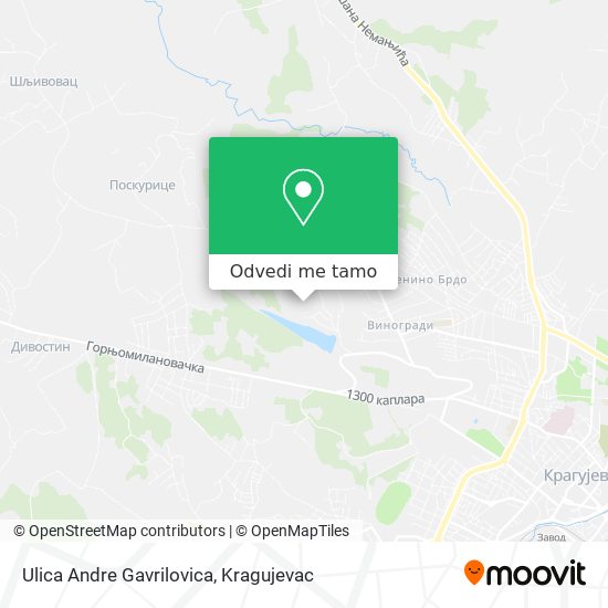 Ulica Andre Gavrilovica mapa