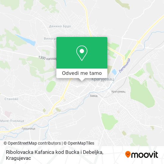 Ribolovacka Kafanica kod Bucka i Debeljka mapa