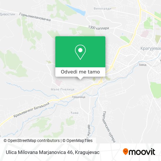 Ulica Milovana Marjanovica 46 mapa