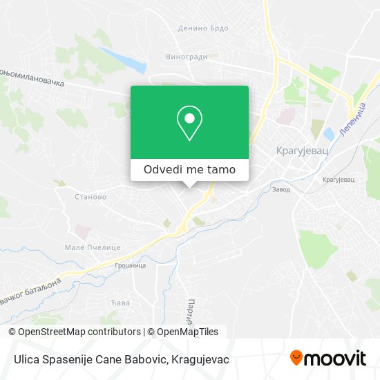 Ulica Spasenije Cane Babovic mapa