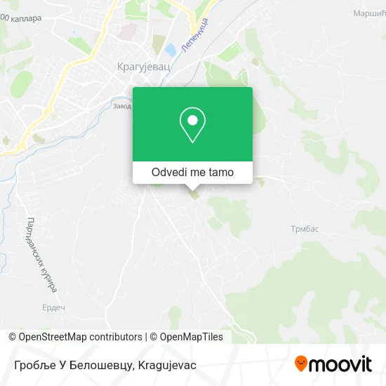 Гробље У Белошевцу mapa