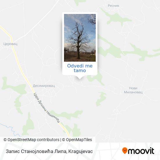 Запис Станојловића Липа mapa