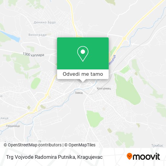 Trg Vojvode Radomira Putnika mapa