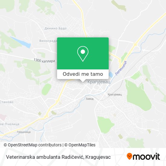 Veterinarska ambulanta Radičević mapa