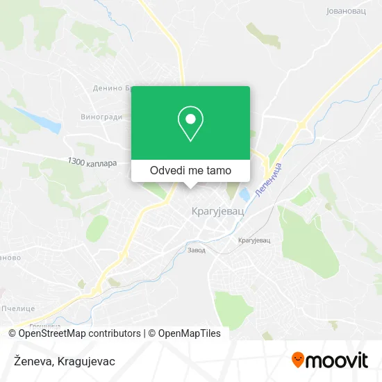 Ženeva mapa