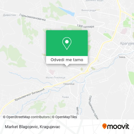 Market Blagojevic mapa