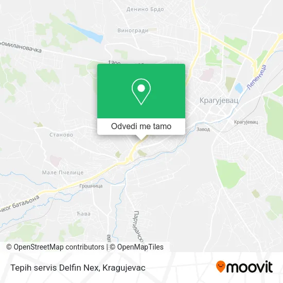 Tepih servis Delfin Nex mapa