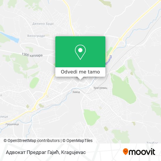 Адвокат Предраг Гајић mapa