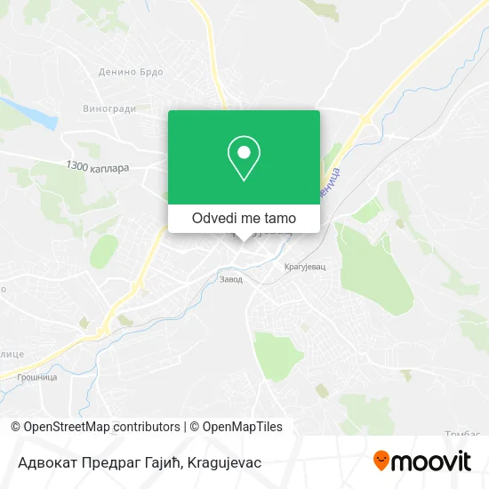 Адвокат Предраг Гајић mapa