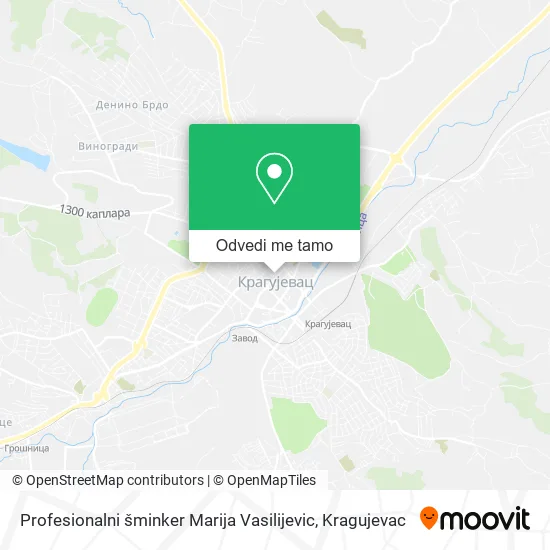 Profesionalni šminker Marija Vasilijevic mapa