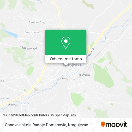 Osnovna skola Radoje Domanovic mapa