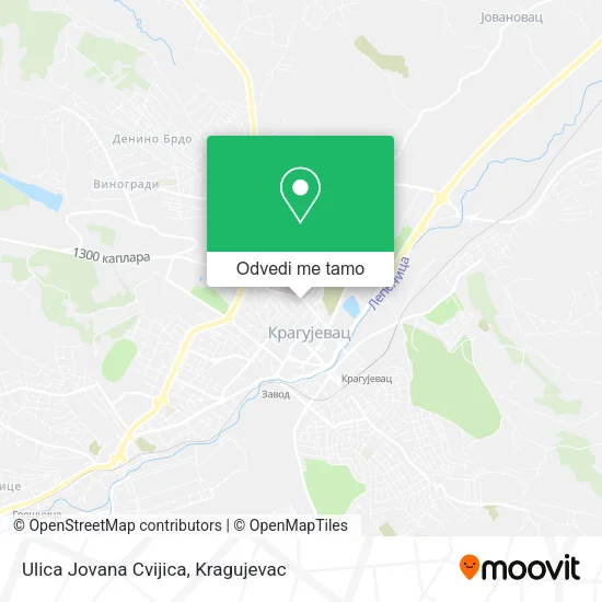 Ulica Jovana Cvijica mapa