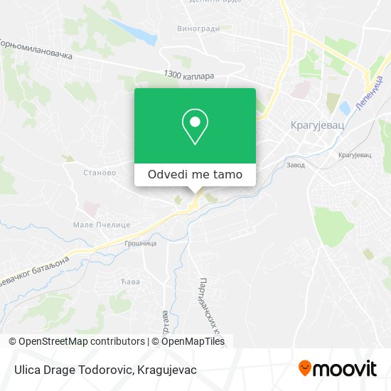 Ulica Drage Todorovic mapa
