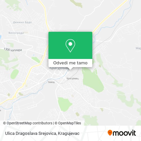 Ulica Dragoslava Srejovica mapa