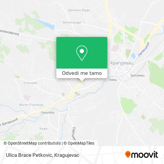 Ulica Brace Petkovic mapa