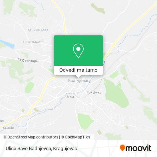 Ulica Save Badnjevca mapa