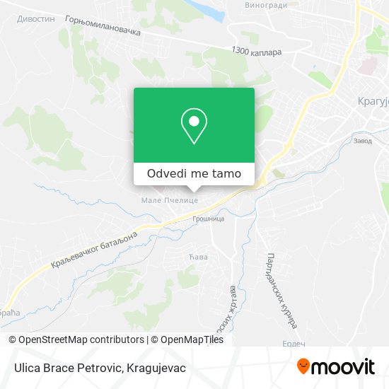 Ulica Brace Petrovic mapa