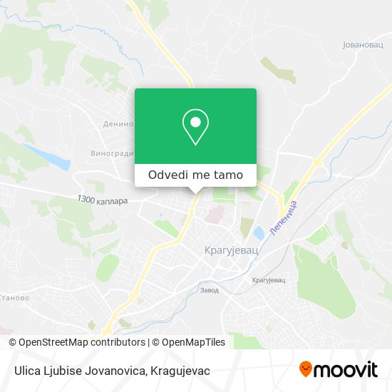 Ulica Ljubise Jovanovica mapa