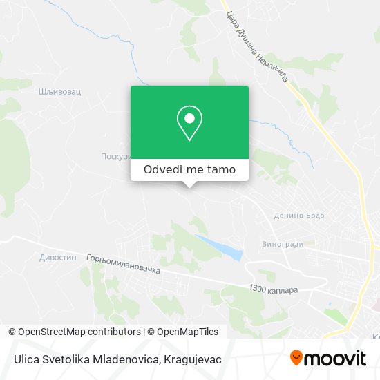 Ulica Svetolika Mladenovica mapa