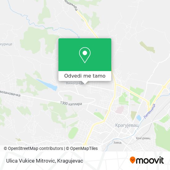 Ulica Vukice Mitrovic mapa