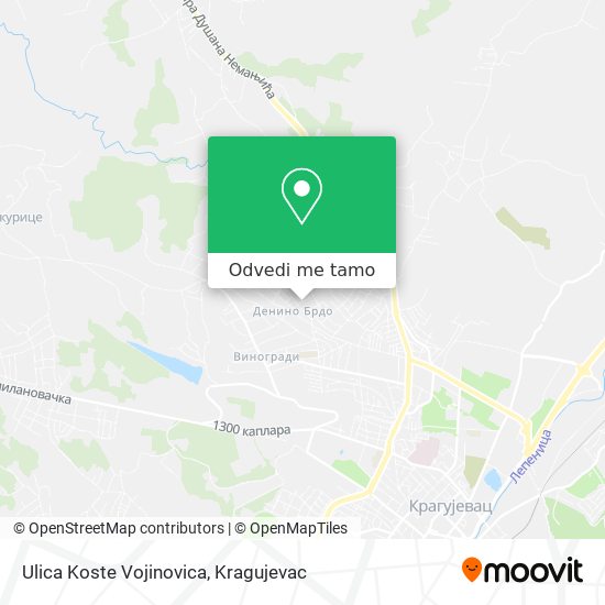 Ulica Koste Vojinovica mapa