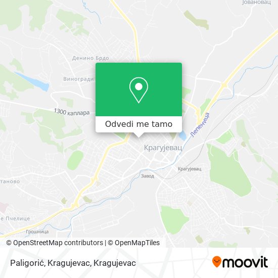 Paligorić, Kragujevac mapa