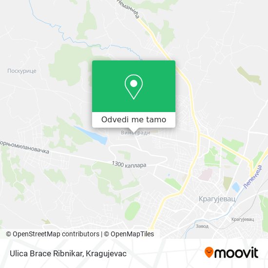 Ulica Brace Ribnikar mapa