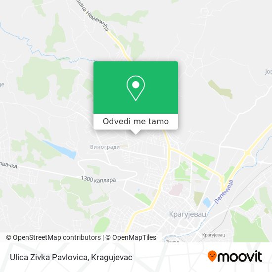 Ulica Zivka Pavlovica mapa