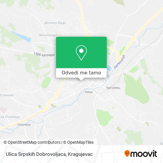 Ulica Srpskih Dobrovoljaca mapa