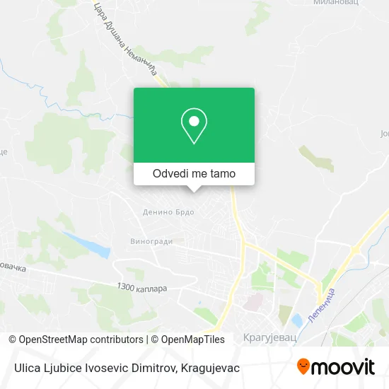 Ulica Ljubice Ivosevic Dimitrov mapa